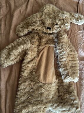 Pottery Barn Kids dog costume